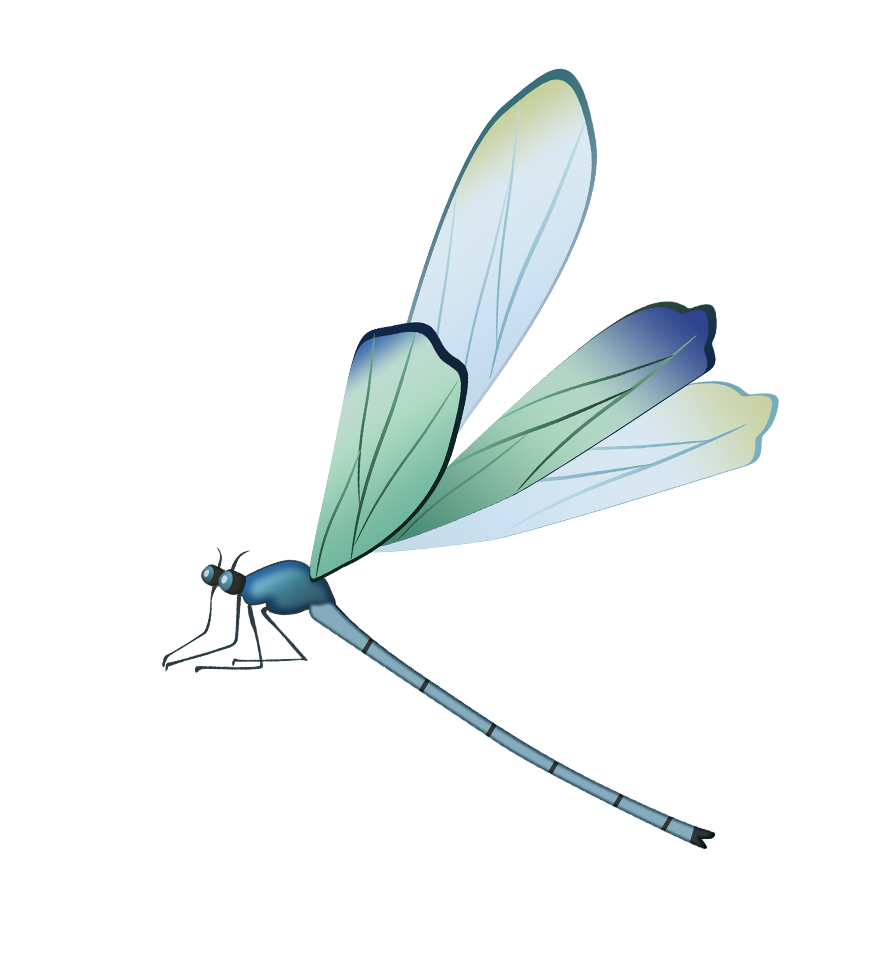 Dragonfly