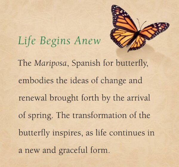Life Begins Anew